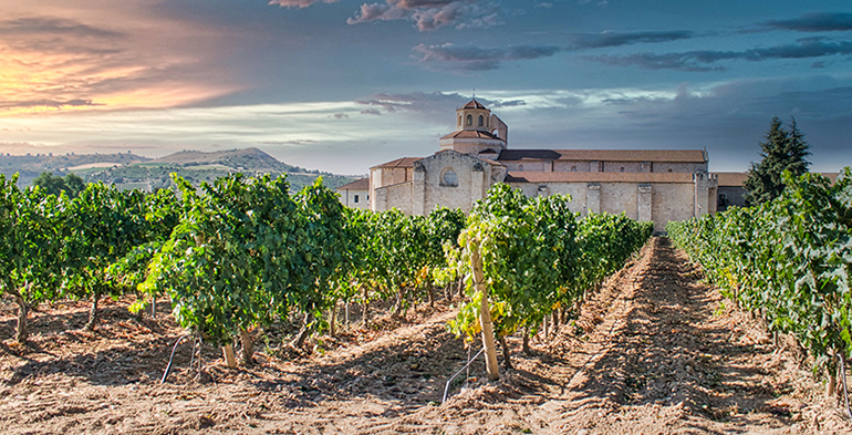 Vino español símbolo de tradición vanguardia y progreso Retail Actual