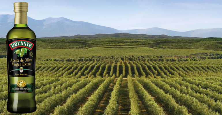 Arranca la campaña de recogida de olivas de Aceites Urzante