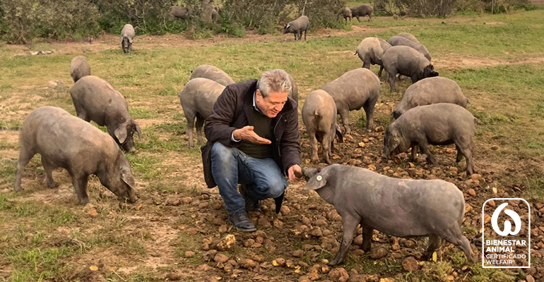 Beher renueva su certificación en Bienestar Animal para todos sus productos