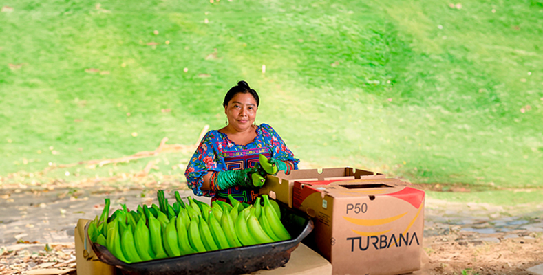 bananas Unibán Colombia