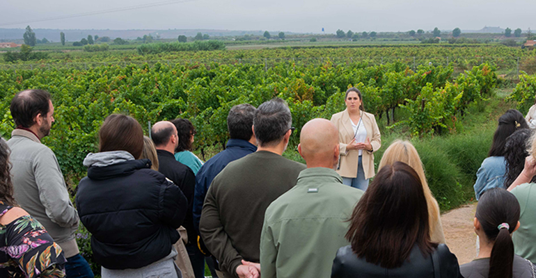 vendimia abierta Bodegas Luzón y Bodegas Corral