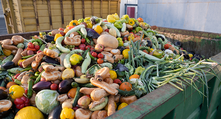  Food Waste Saver, Acerva lanza la primera marca de calidad que certifica el cumplimiento con la nueva Ley de Desperdicio Alimentario
