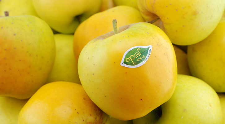 manzana Opal Fruit Attraction