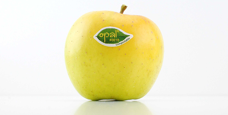 Opal, una manzana de color oro con equilibrio perfecto entre dulzura y acidez