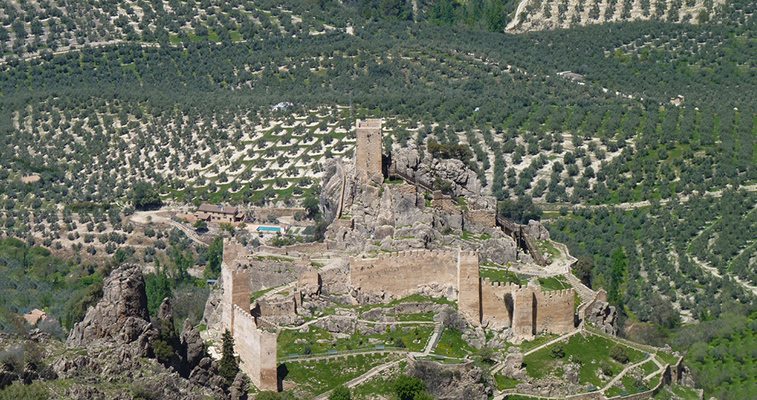 olivares AOVE Jaen